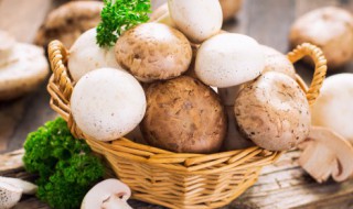 蘑菇要如何保鲜储存不会坏 蘑菇要怎么保鲜储存不会坏