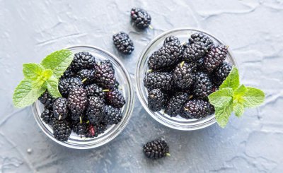 桑子泡酒怎样泡好 桑葚泡酒的详细配方与技巧介绍