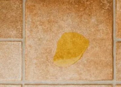 狗尿做肥料 狗尿可以做肥料吗