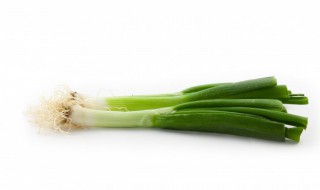 大葱如何长时间保鲜储存 大葱如何保存时间最长