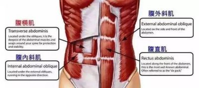 初学者卷腹正确姿势图解 卷腹的动作要领以及技巧