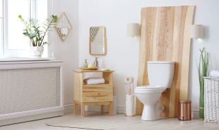 室内卫生间小物件叫什么 室内卫生间小物件叫哪些