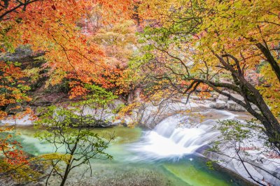 巴中属于哪个省的城市 四川巴中市历史沿革及经济发展状况