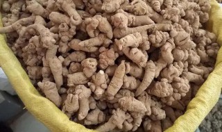 三七生吃和熟吃的区别 三七生吃和熟吃有哪些区别