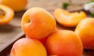 杏仁泡几天能发芽 杏仁泡多少天能发芽