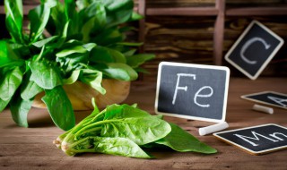 菠菜能和虾皮一起吃吗 可以一起吃菠菜和虾皮吗