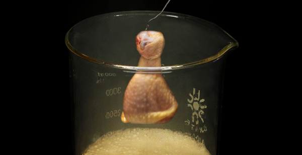 世界上最强的酸是什么酸