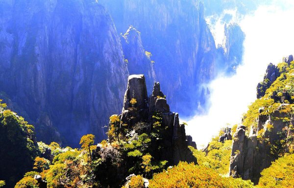 黄山的特点都有哪些