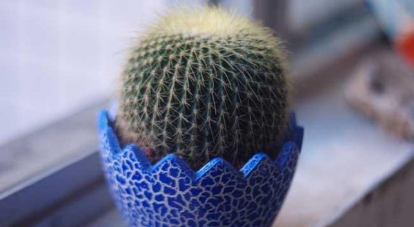 仙人球放在卧室好吗