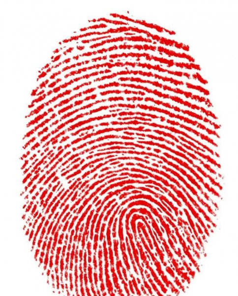 一螺到十螺的顺口溜