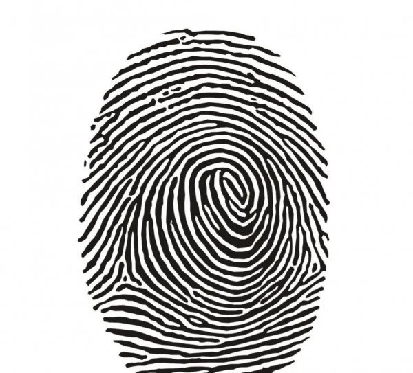 一螺到十螺的顺口溜