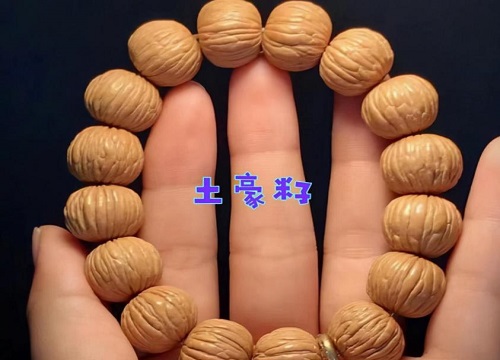 猴头手串哪个品种最贵