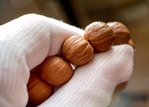 猴头手串哪个品种最贵