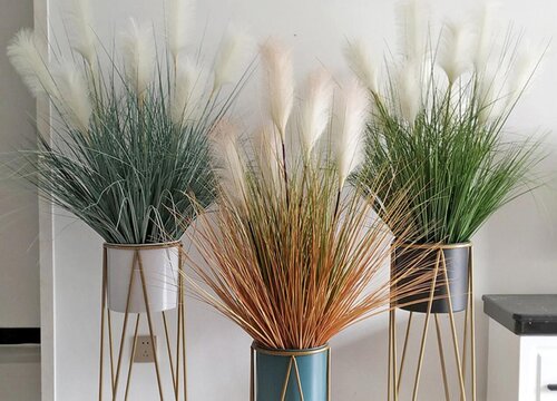 芦苇怎么做干花不掉绒毛