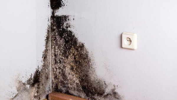 为什么有人说一楼再便宜也不要买