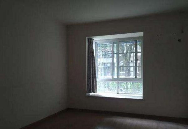 为什么有人说一楼再便宜也不要买