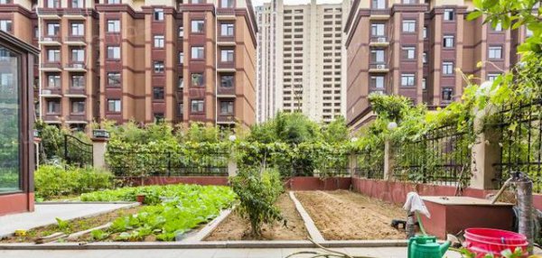 为什么有人说一楼再便宜也不要买