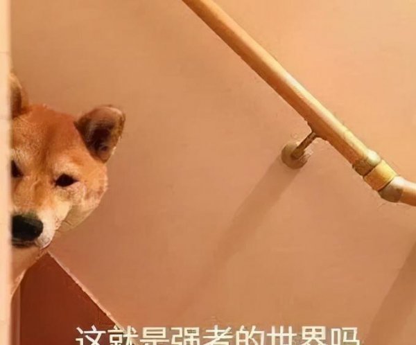 考到注册会计师有什么用