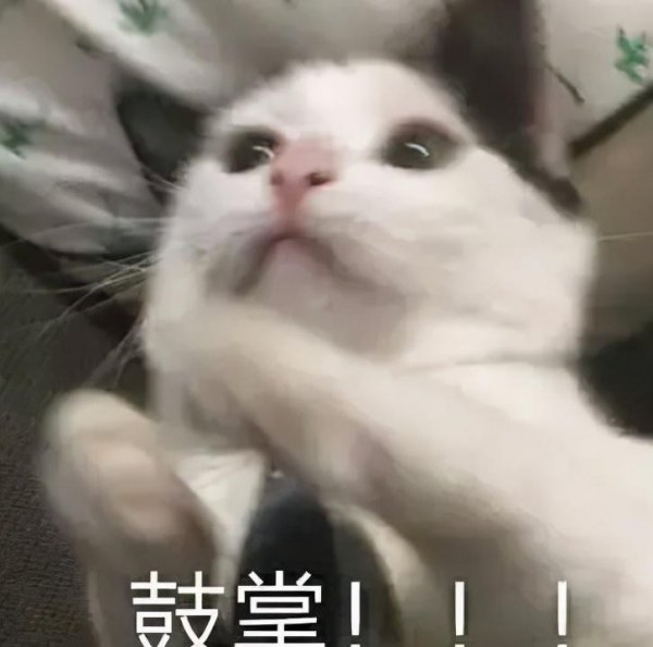 考到注册会计师有什么用