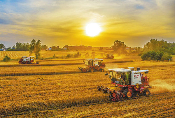 河南有什么名酒品牌