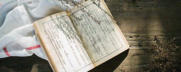 雨果是哪个国家的著名作家