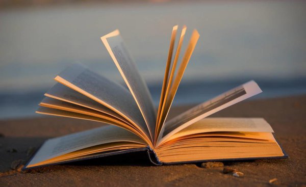 散文分为哪几类