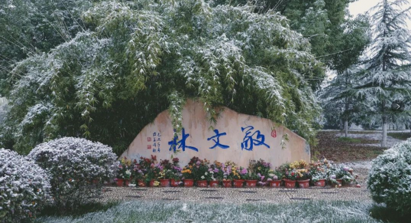 安师大为什么不是211