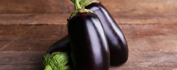 茄子是热性还是凉性