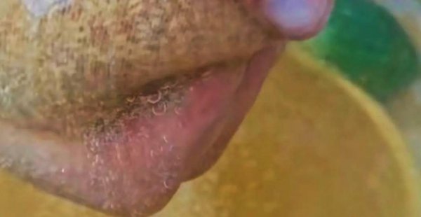 白凉粉原材料是什么东西