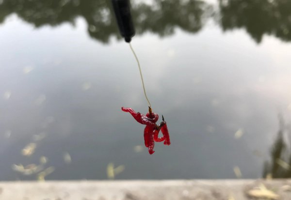 红虫怎么保存活的时间更长