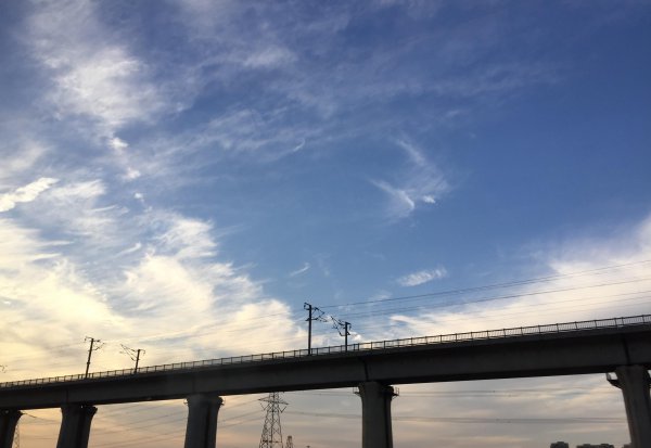 人际交往的内容包括哪些方面