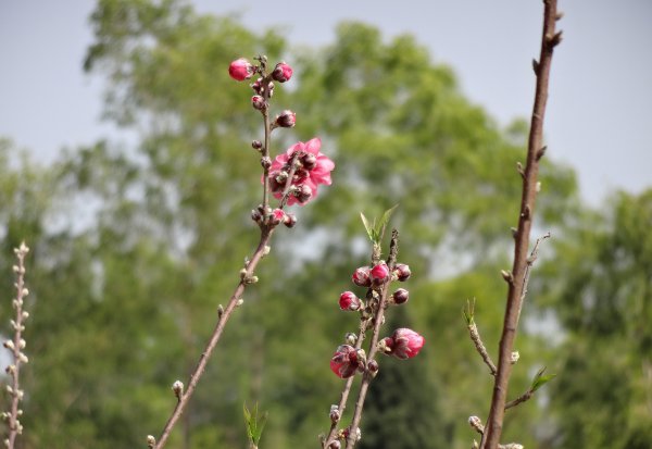人际交往的内容包括哪些方面