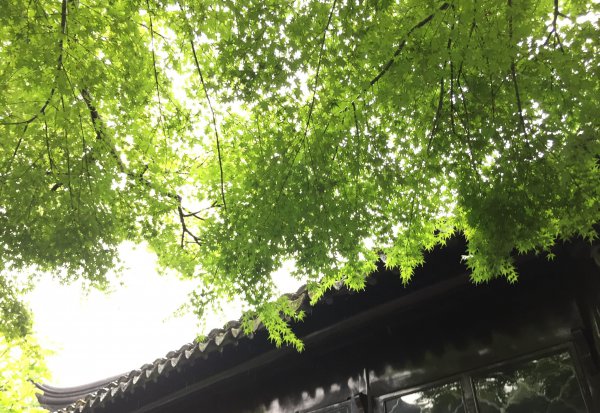 人际交往的内容包括哪些方面