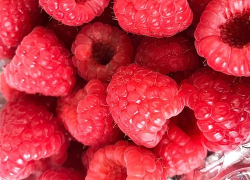 树莓长在树上还是地上