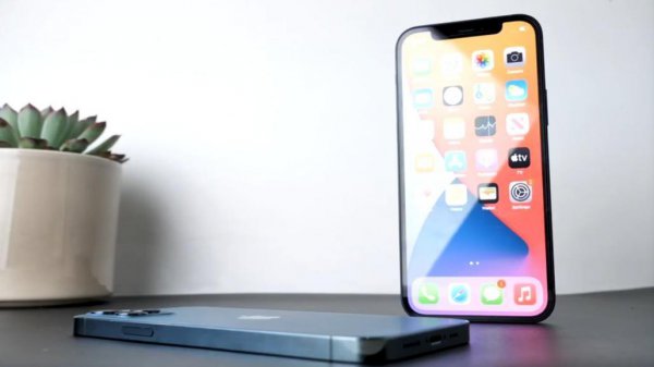 苹果性价比最高的手机是哪款