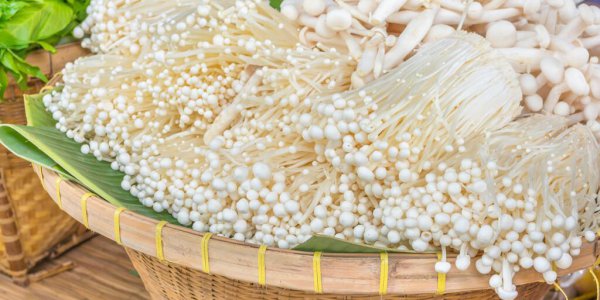 新鲜蘑菇怎么保存时间长