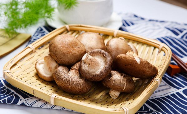 新鲜蘑菇怎么保存时间长