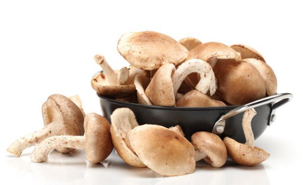 新鲜蘑菇怎么保存时间长