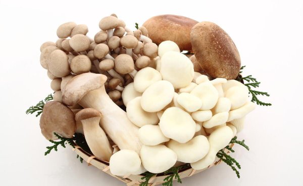 新鲜蘑菇怎么保存时间长