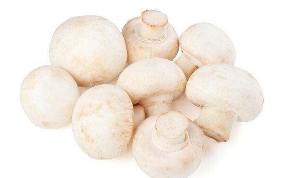 新鲜蘑菇怎么保存时间长