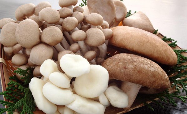 新鲜蘑菇怎么保存时间长