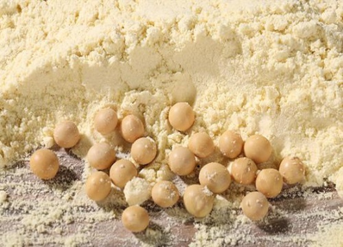 豆渣怎么养发财树枝繁叶茂