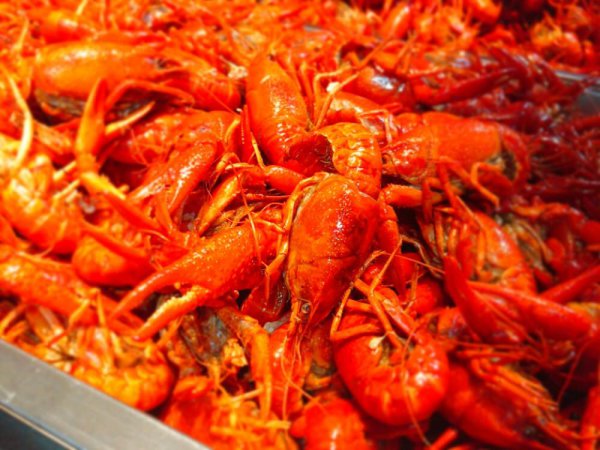 小龙虾怎么清理才能干净