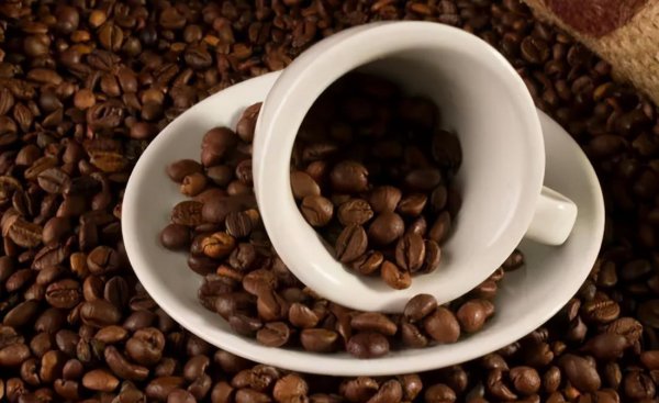 过期的咖啡豆能做什么用途
