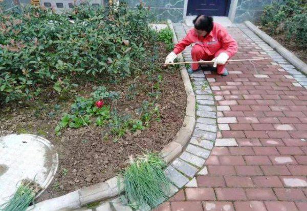 买一楼带院房子好还是买楼上的好