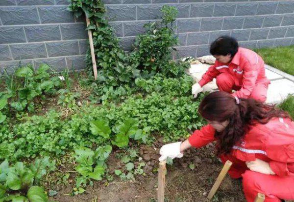 买一楼带院房子好还是买楼上的好