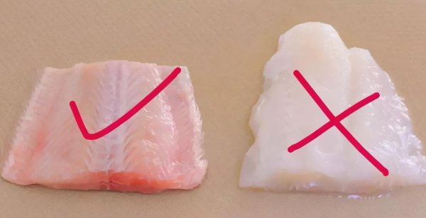 龙利鱼是海里的鱼吗