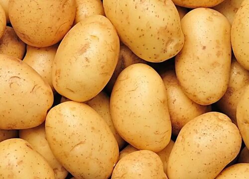 2023年春季土豆行情预测