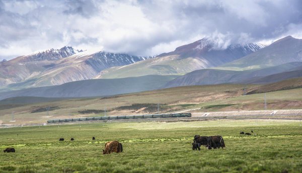 去拉萨坐火车哪趟最美
