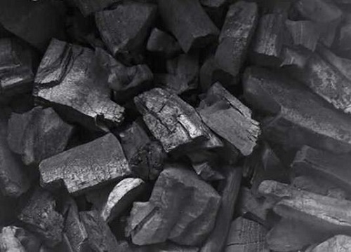 兰花用什么植料养护根系健壮